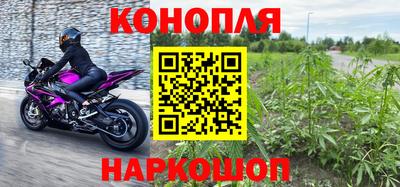 бошки Донецк