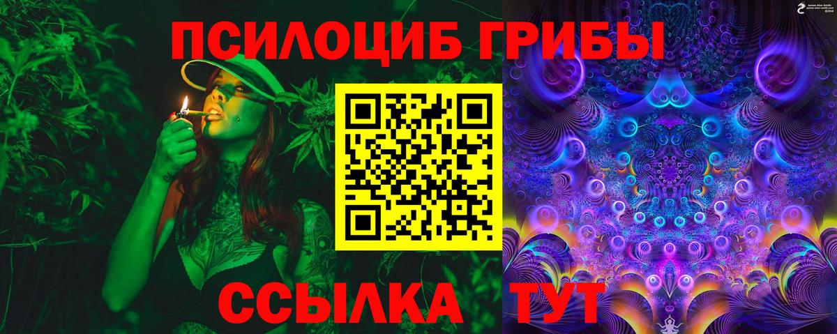 где можно купить наркотик  Псилоцибиновые грибы Magic Shrooms  Вход с VPN  Мытищи 
